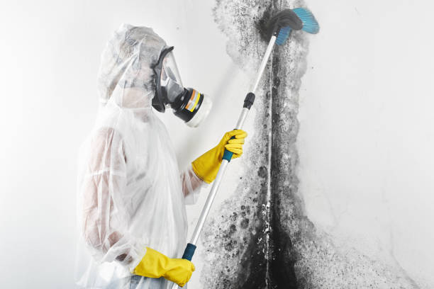 Dehumidification Services in Garden City, NY