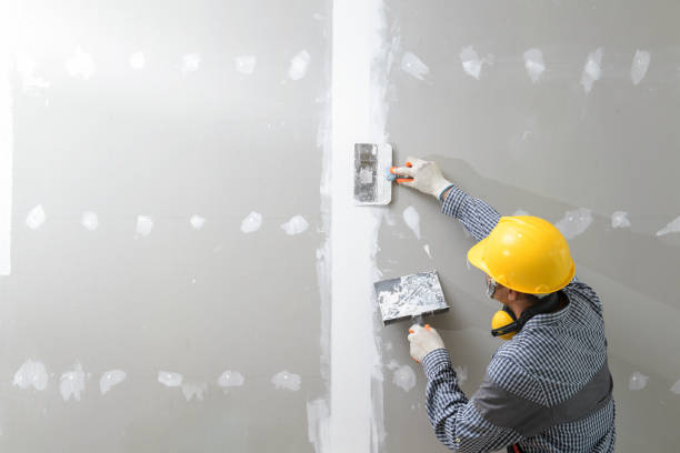 Best Mold Odor Removal Services  in Garden City, NY