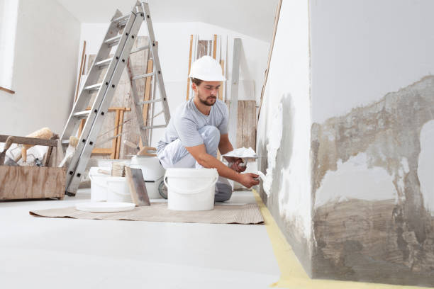 Best Mold Removal for HVAC Installations  in Garden City, NY