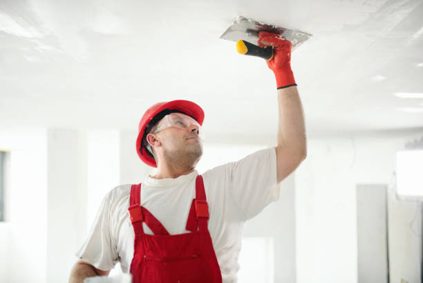 Best Black Mold Removal  in Garden City, NY