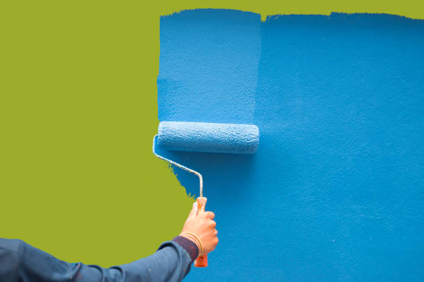 Mold Odor Removal Services in Garden City, NY