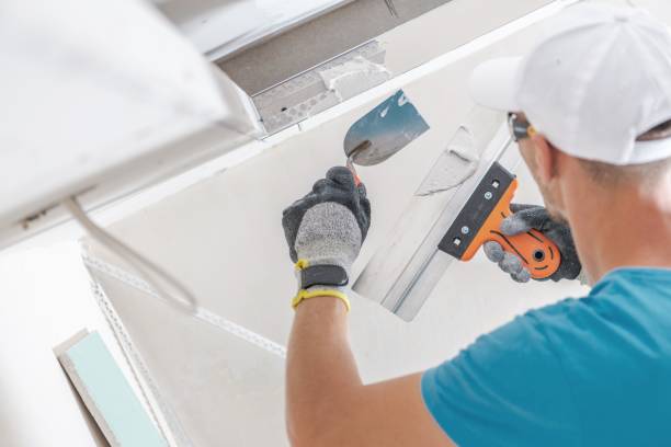  Garden City, NY Mold Removal Pros